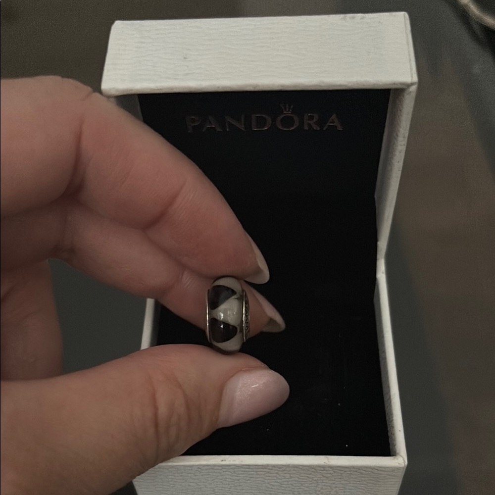 Pandora Black and White Charm
